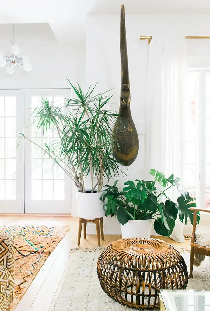 Fertilizer Follies: Avoid These Common Mistakes to Keep Your Plants Thriving