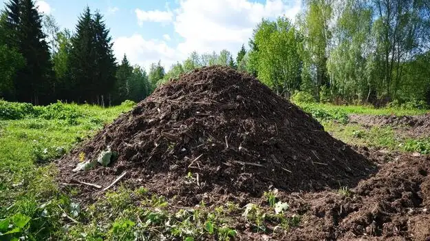 Fertilizer Fusion: Busting Myths and Mastering the Mix for Your Garden