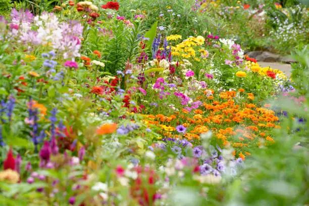 garden with mixed fertilizers