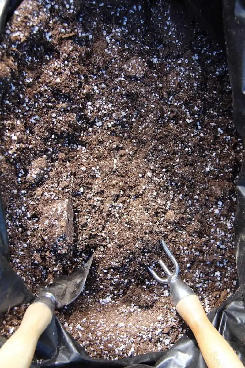 mixing potting soil ingredients