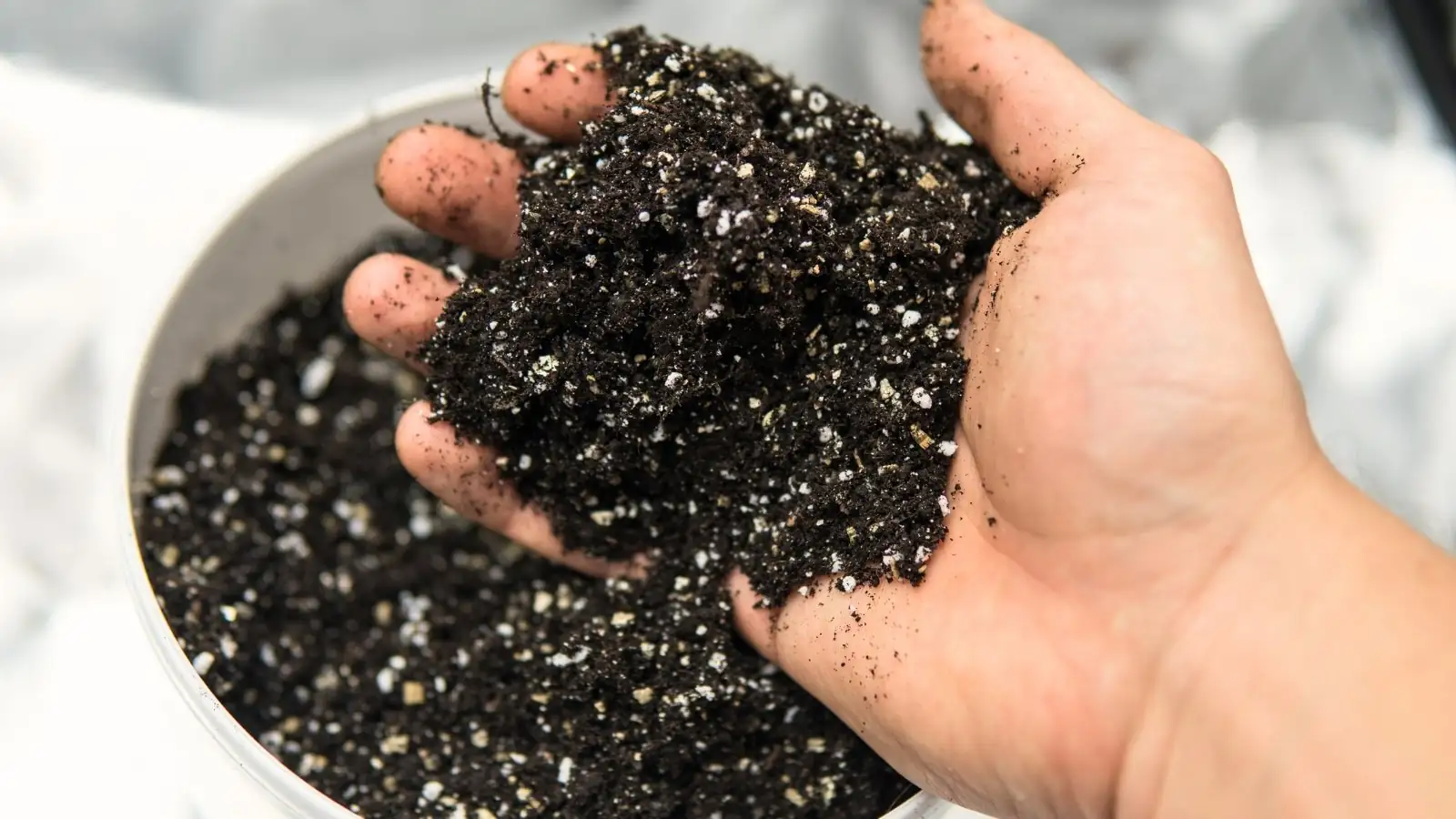 perlite and vermiculite soil mix