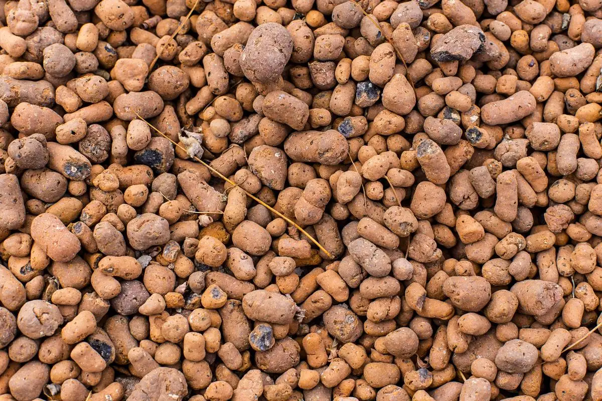 gravel and clay balls for planters