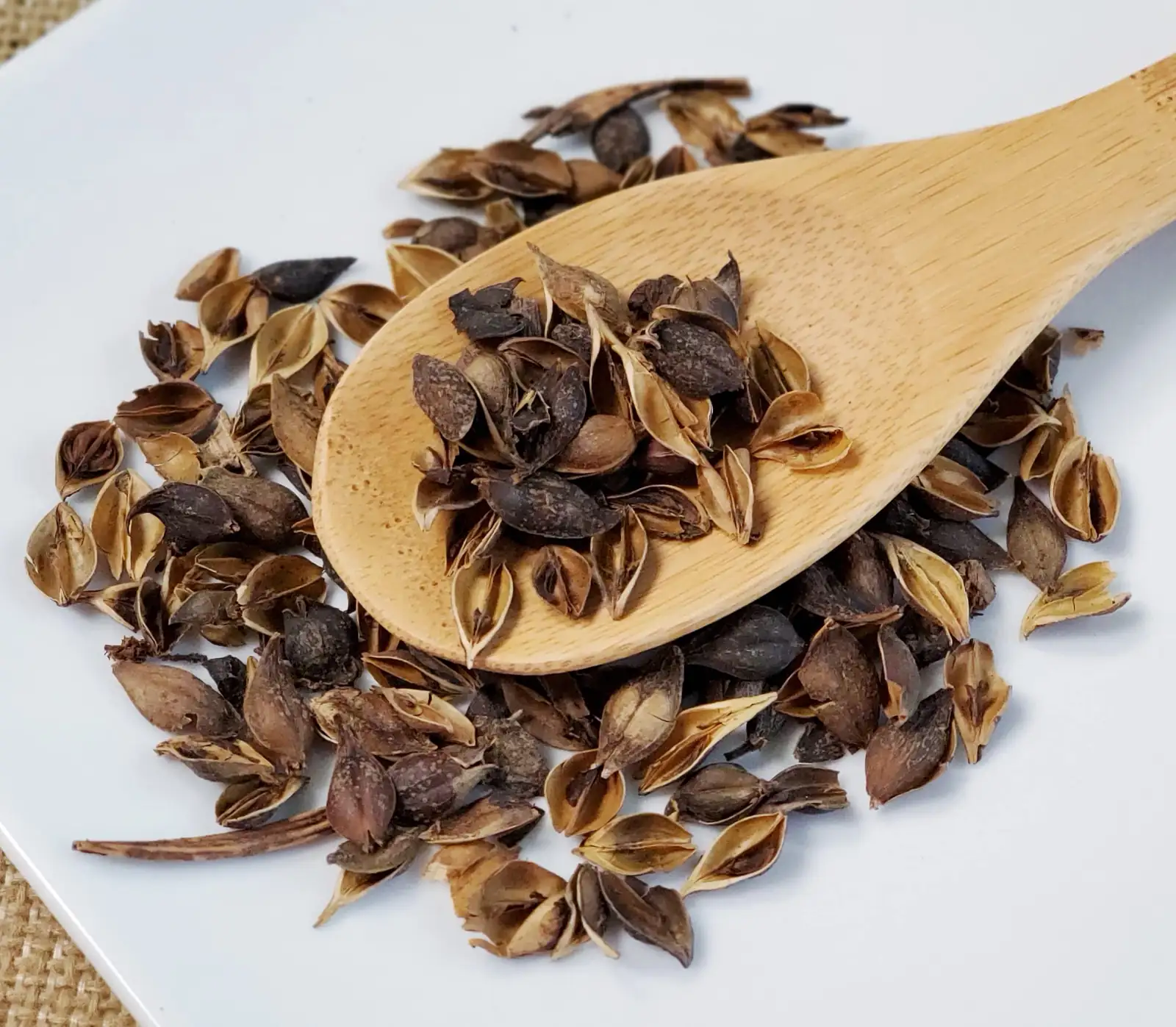 forsythia fructus dried herbs