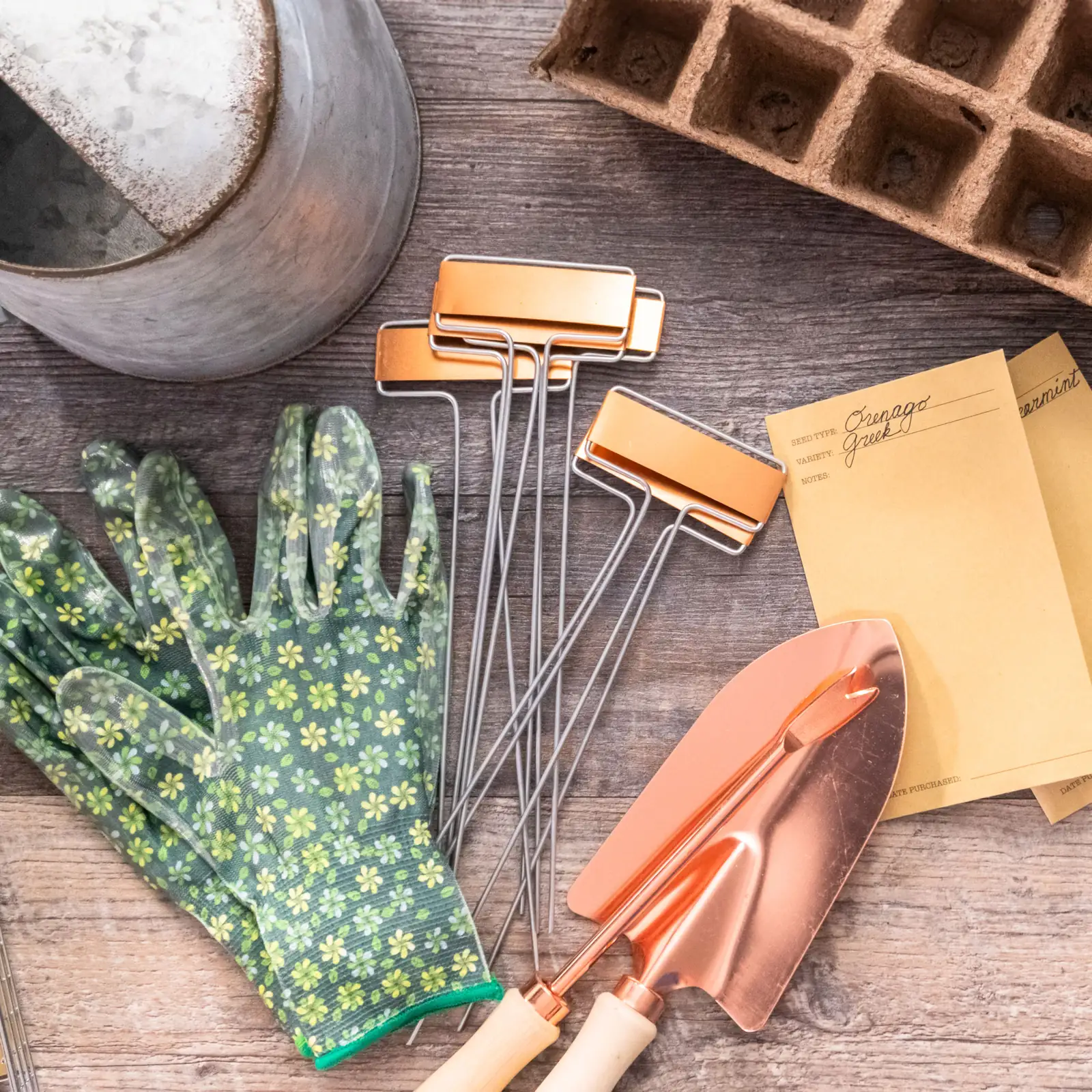 forsythia planting garden tools