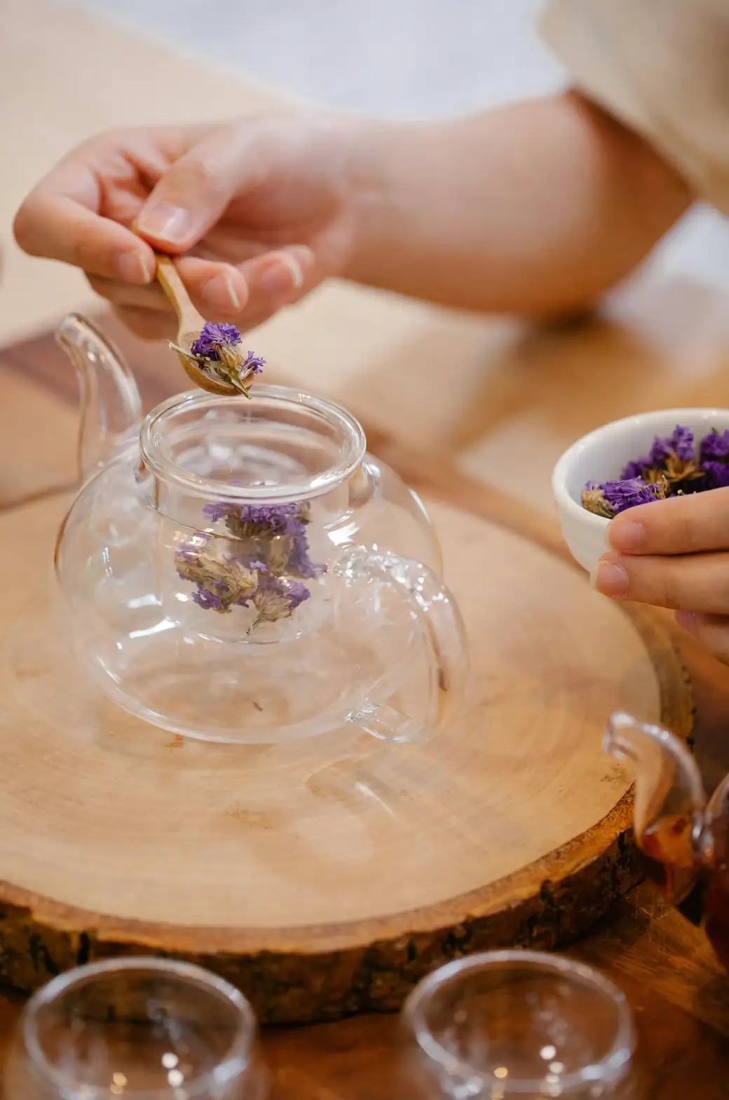 forsythia herbal tea preparation