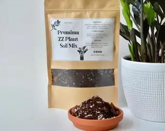 ZZ Plant potting soil mix