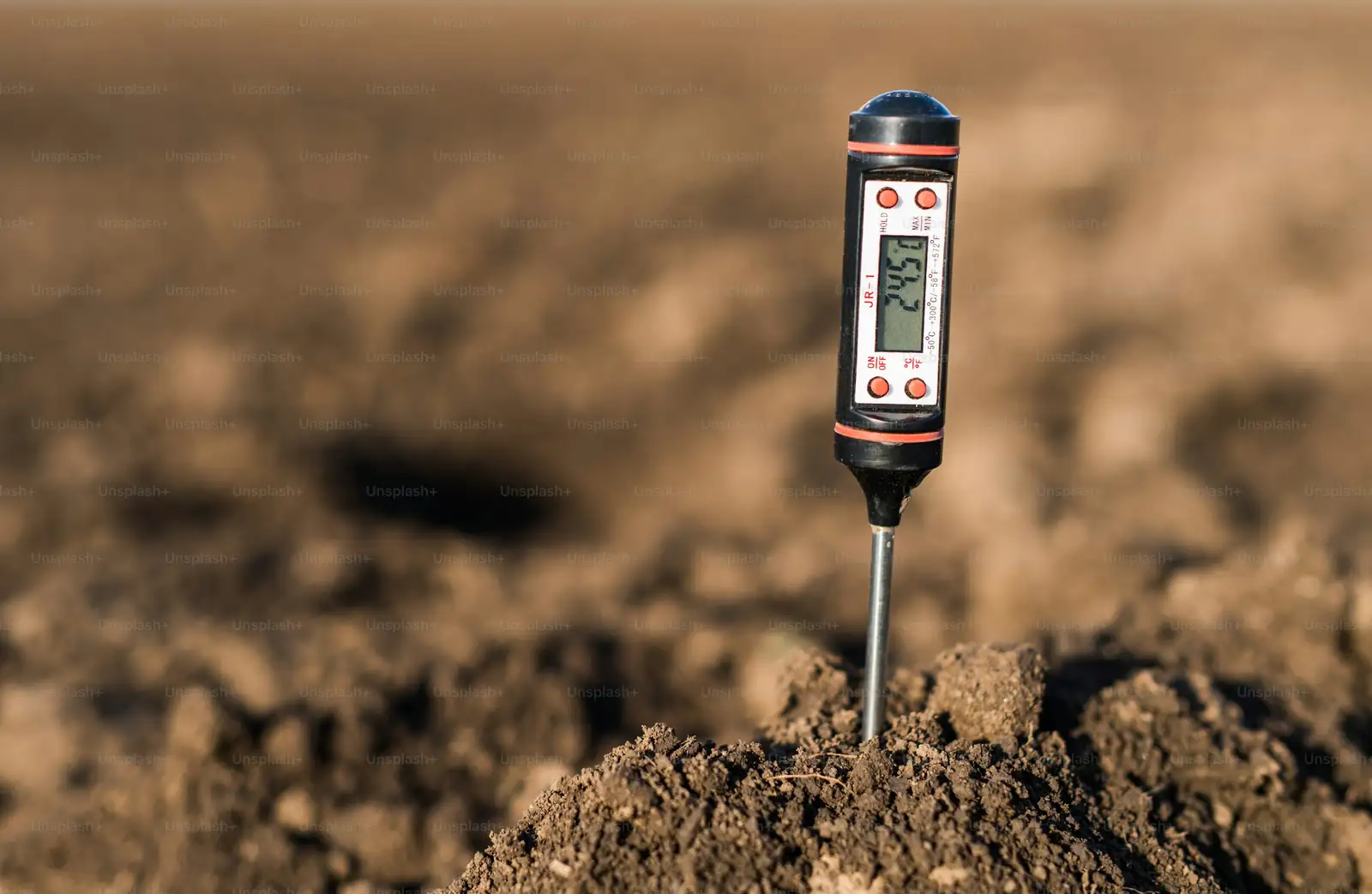 unhealthy garden soil testing