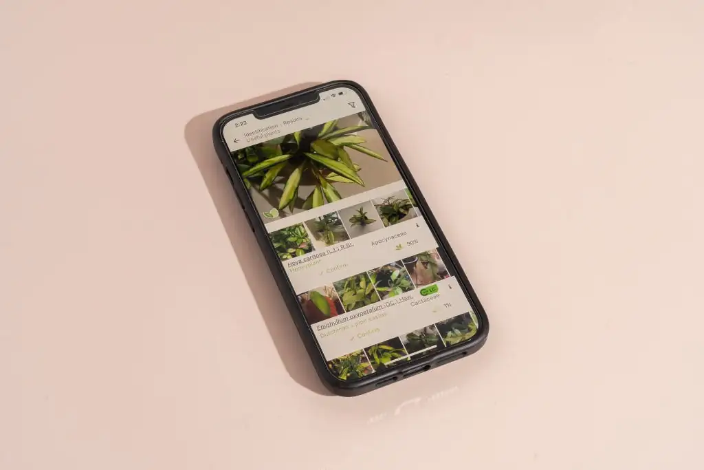 houseplant care app smartphone