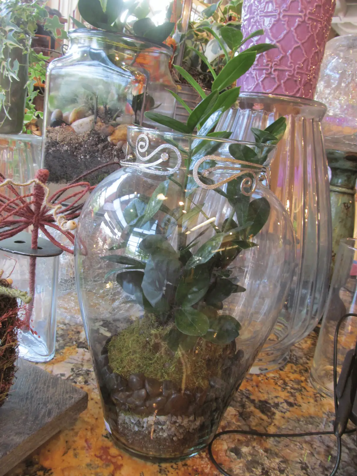 ZZ plant in glass vase