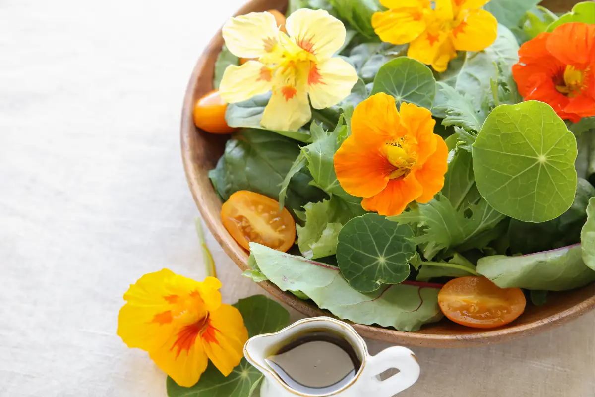 nasturtium salad preparation