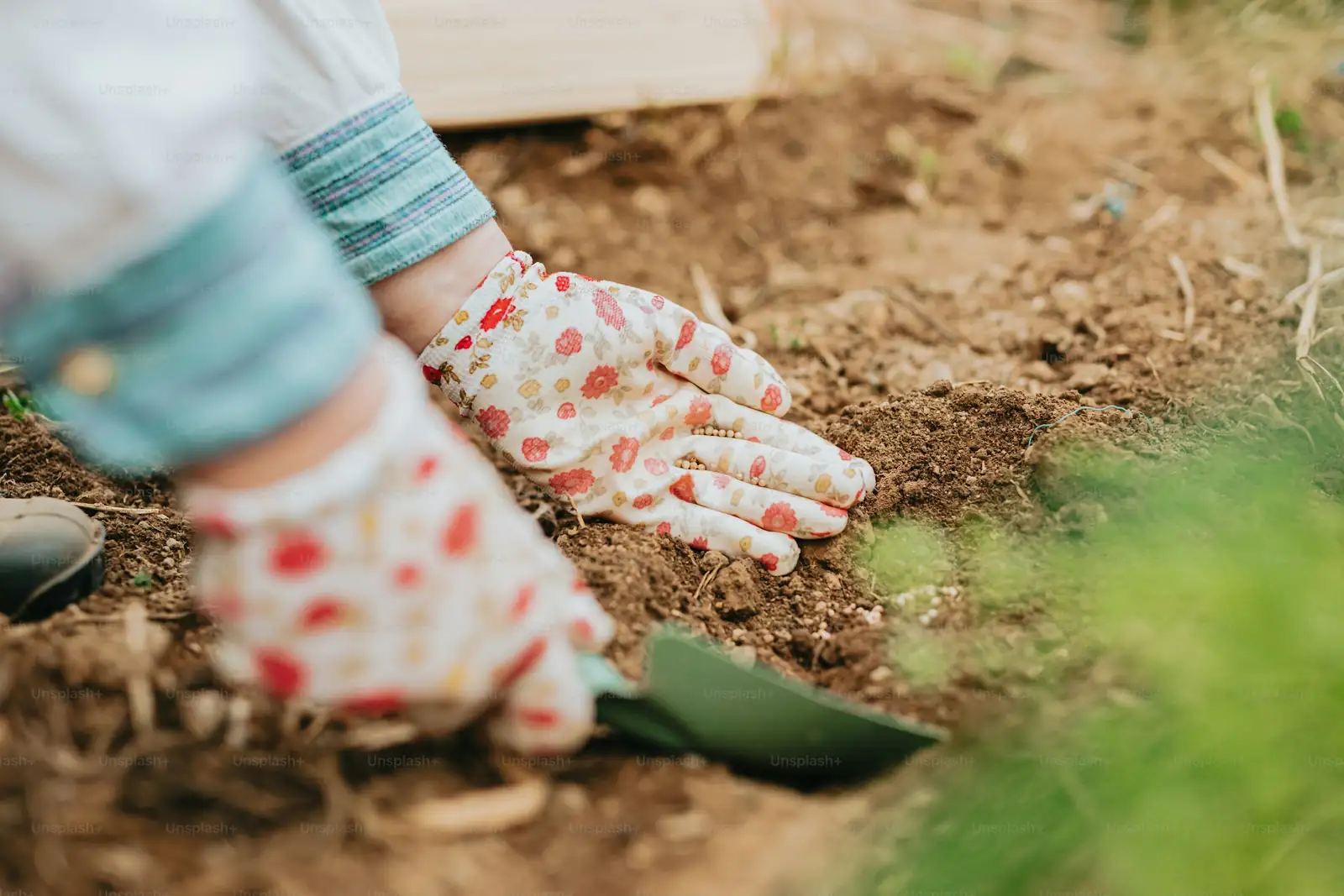removing damaged plants from garden
