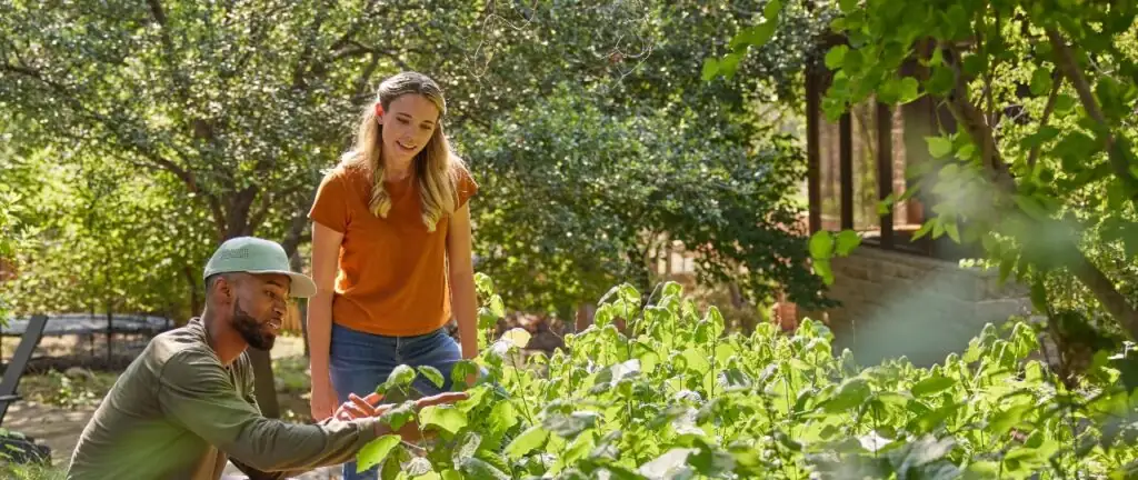 Keeping Pests Away for Good: Effective Strategies for Long-Lasting Pest Control