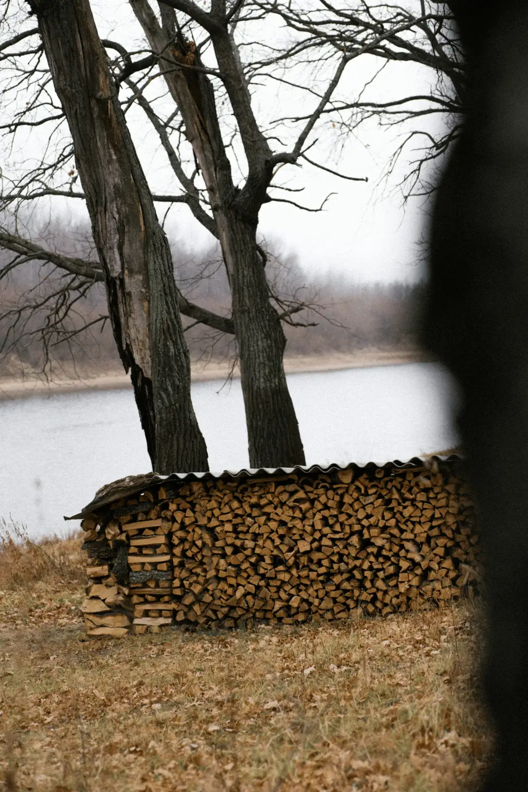 firewood pile away from house