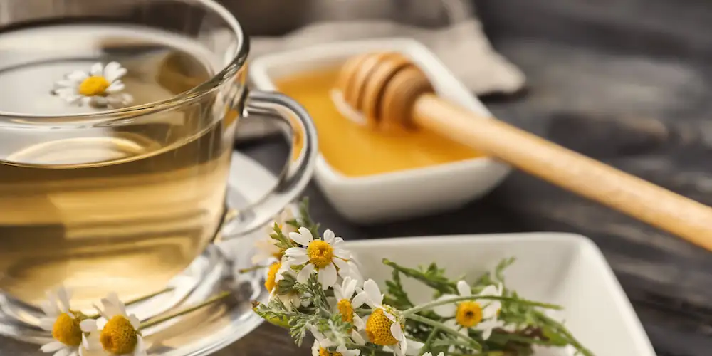 mallow tea with honey