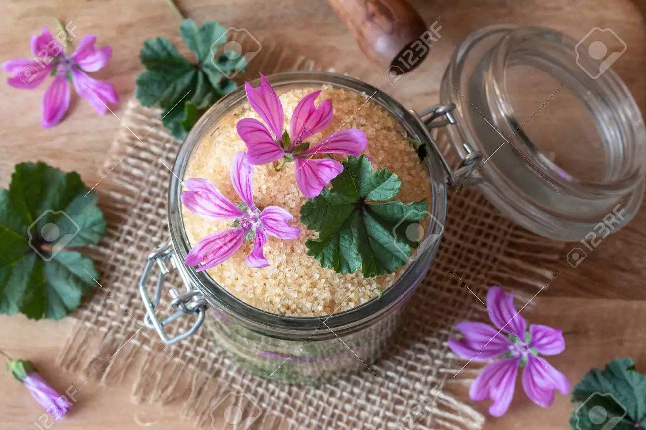 mallow flower syrup preparation