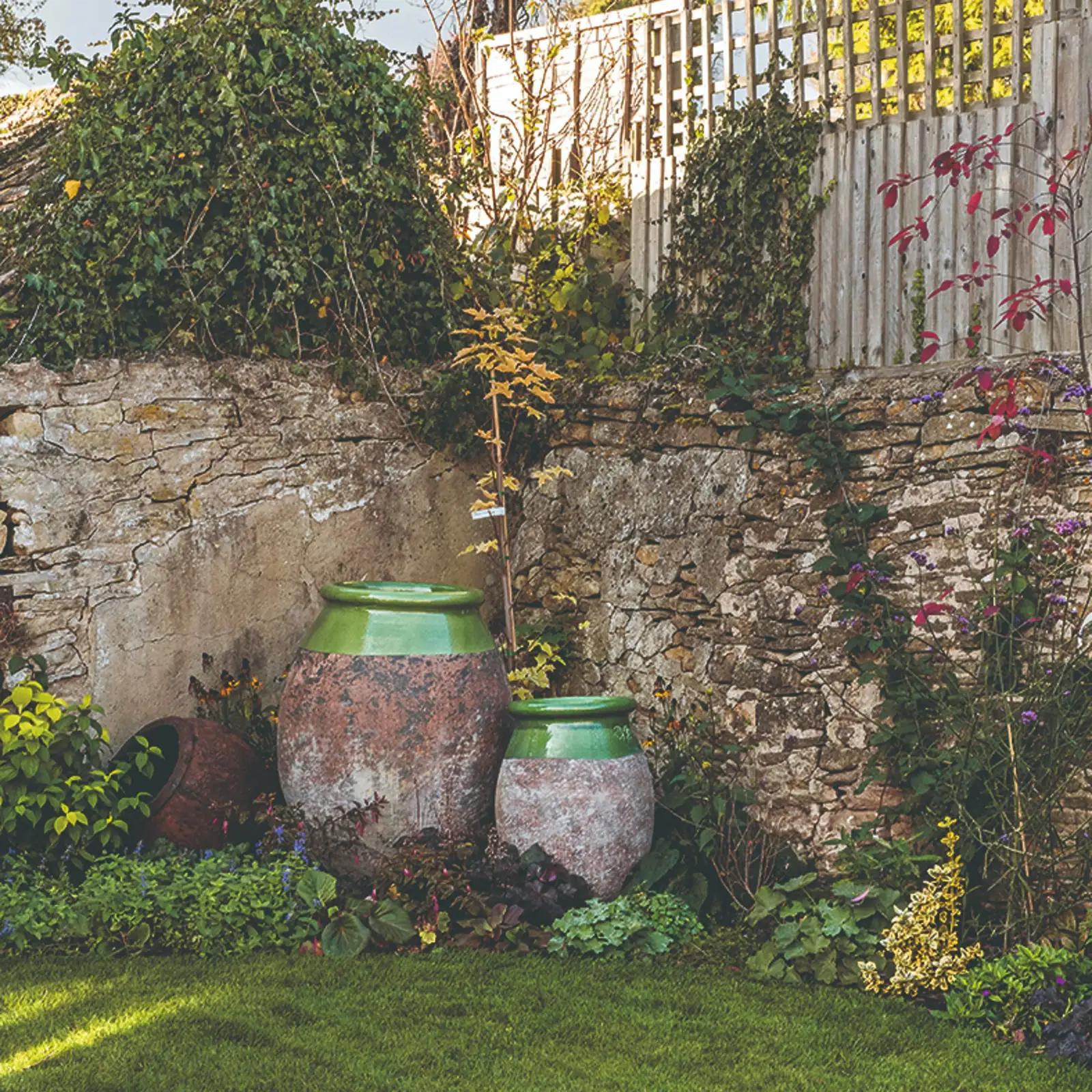 The Sunshine and Water Tango: Keeping Your Plants Healthy and Happy