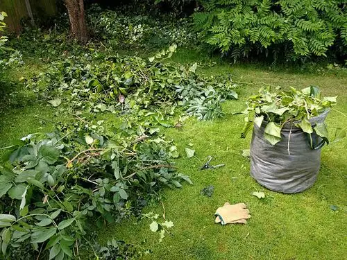 garden clean-up after pruning
