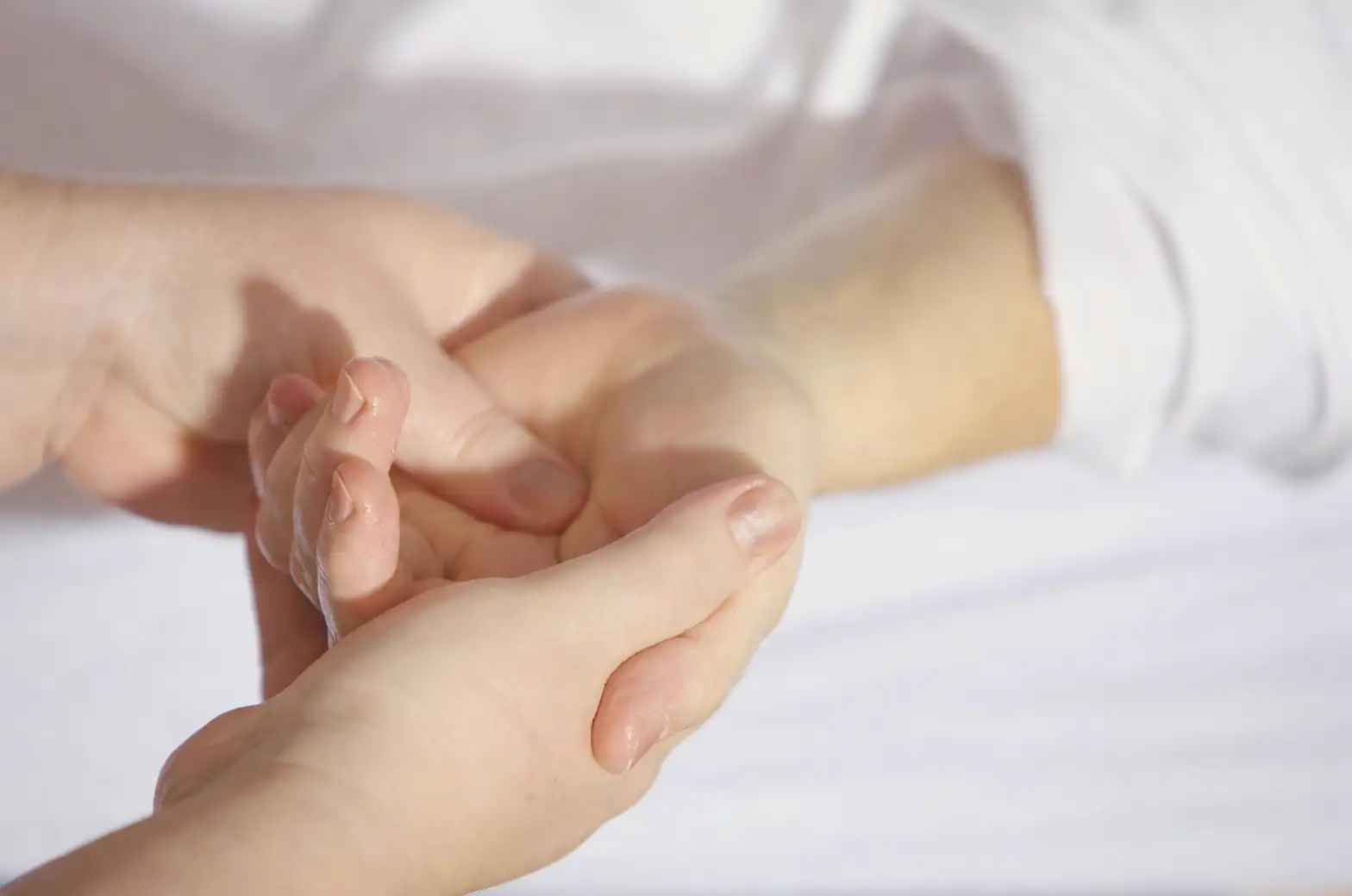 tree wound healing treatment