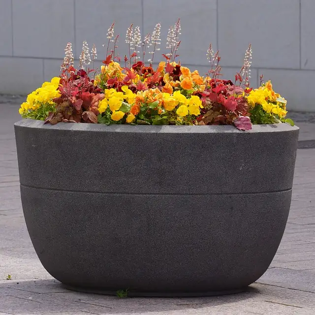 Bloomingly Simple: A Step-by-Step Guide to Repotting Your Flowers