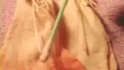 brugmansia cutting tools