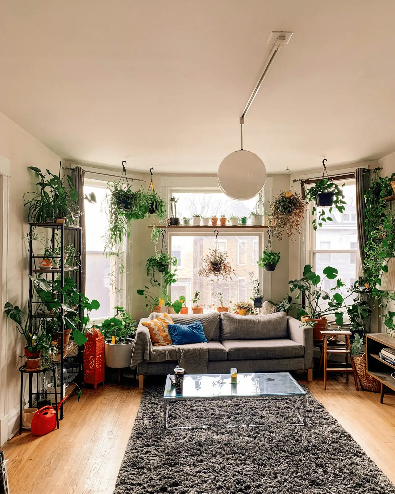 living room with mixed plants