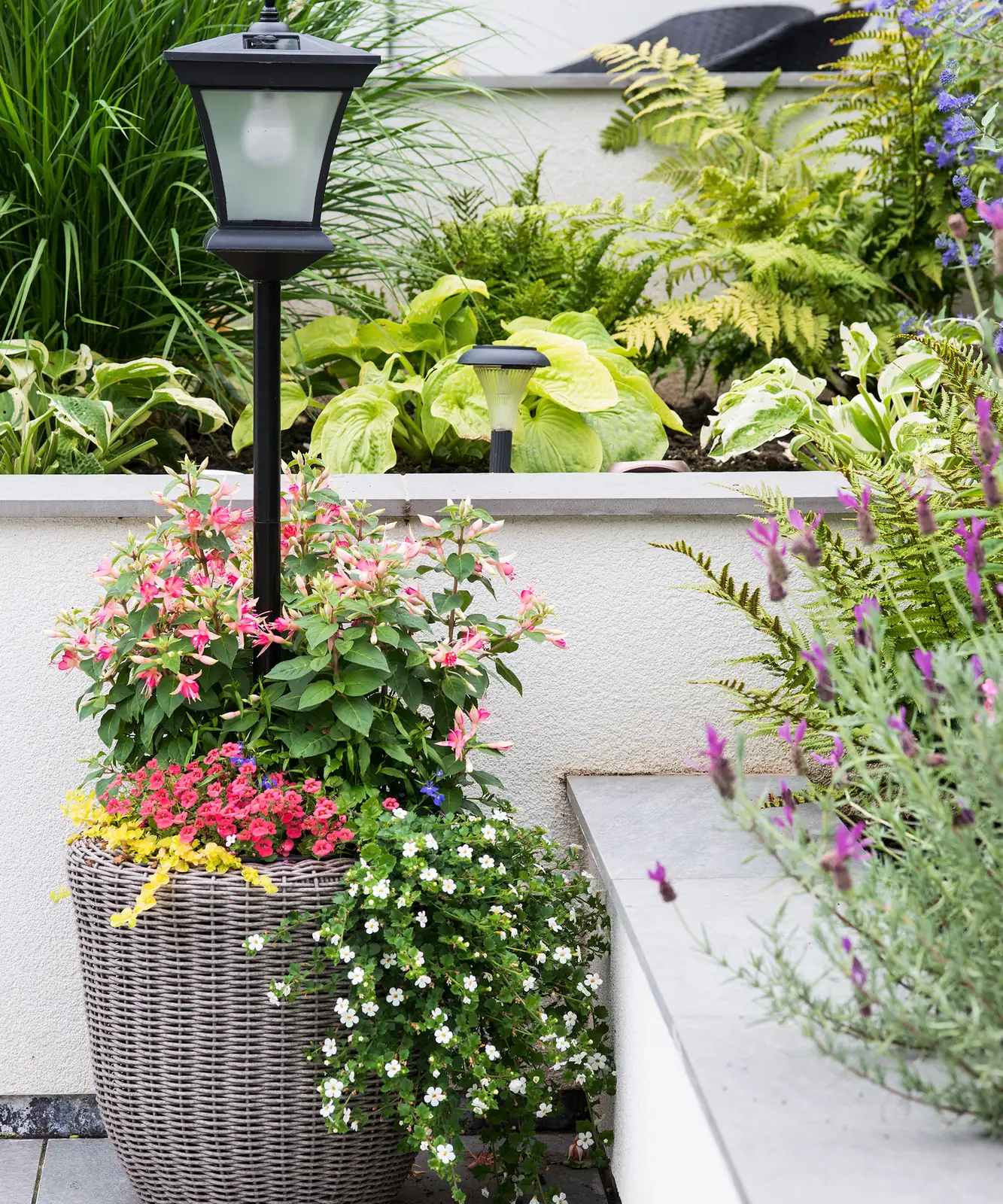 ferns begonias hostas shaded balcony