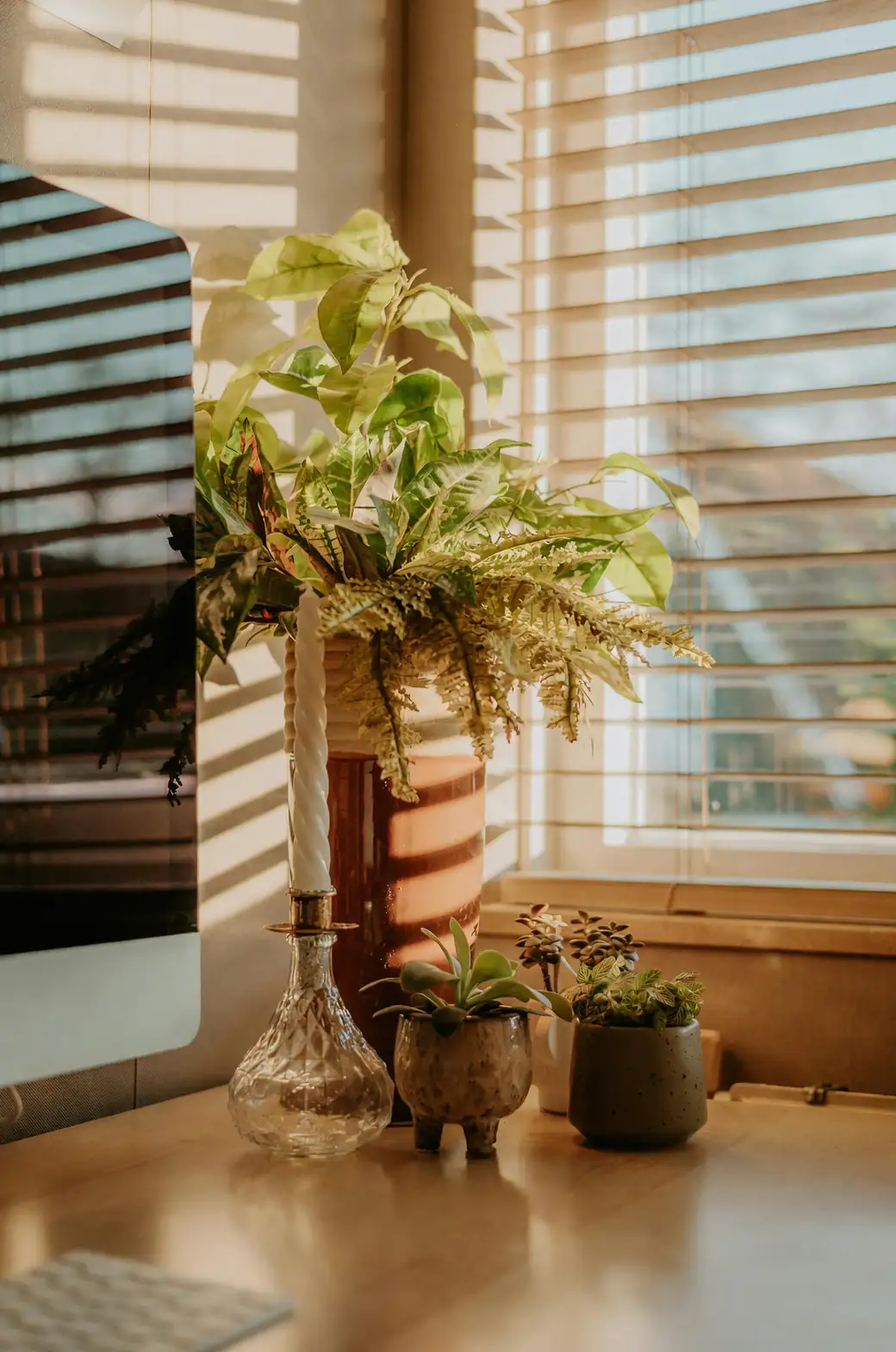 peacock plant near window