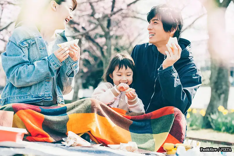hanami picnic under cherry blossoms