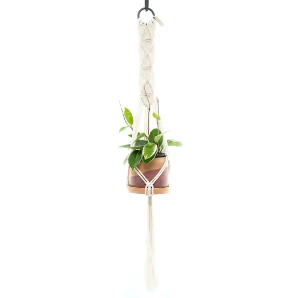 macramé plant hangers indoor