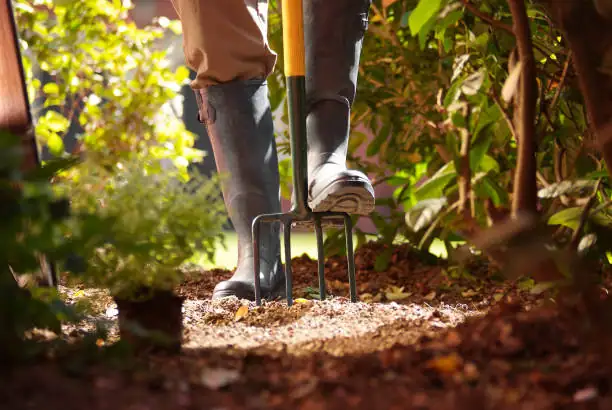 garden fork turning soil