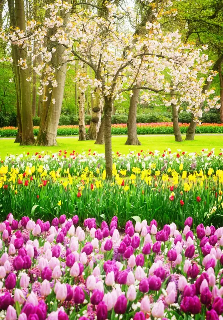 Spring into Action: Effective Pest Prevention for a Blooming Garden