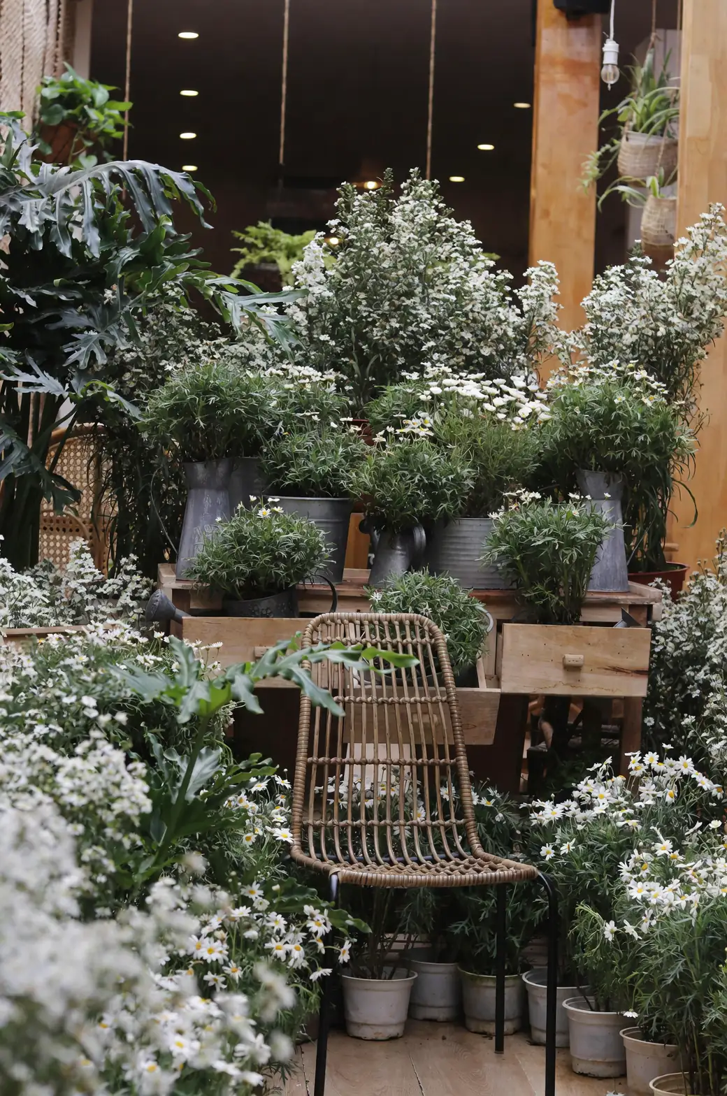 Brighten Your Indoor Garden: LED vs. Fluorescent Grow Lights Explained