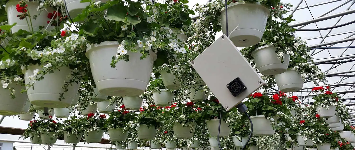 humidity sensor in greenhouse