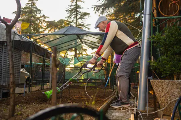 Unlocking the Secrets of Electroculture and Smart Gardening Devices