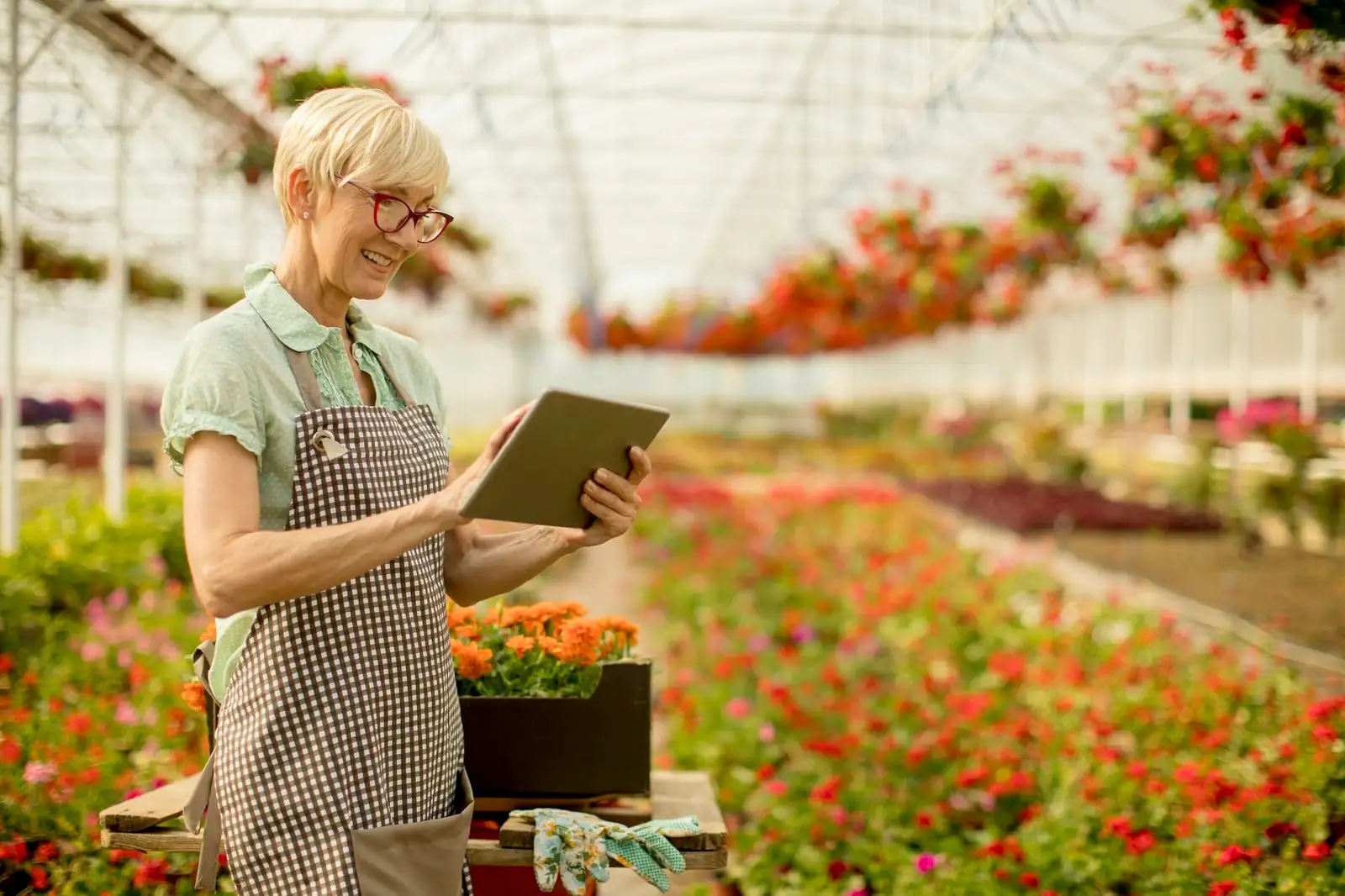 lush garden with smart tech