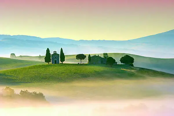 Italian cypress in Tuscan landscape