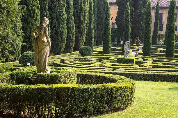Italian cypress formal garden