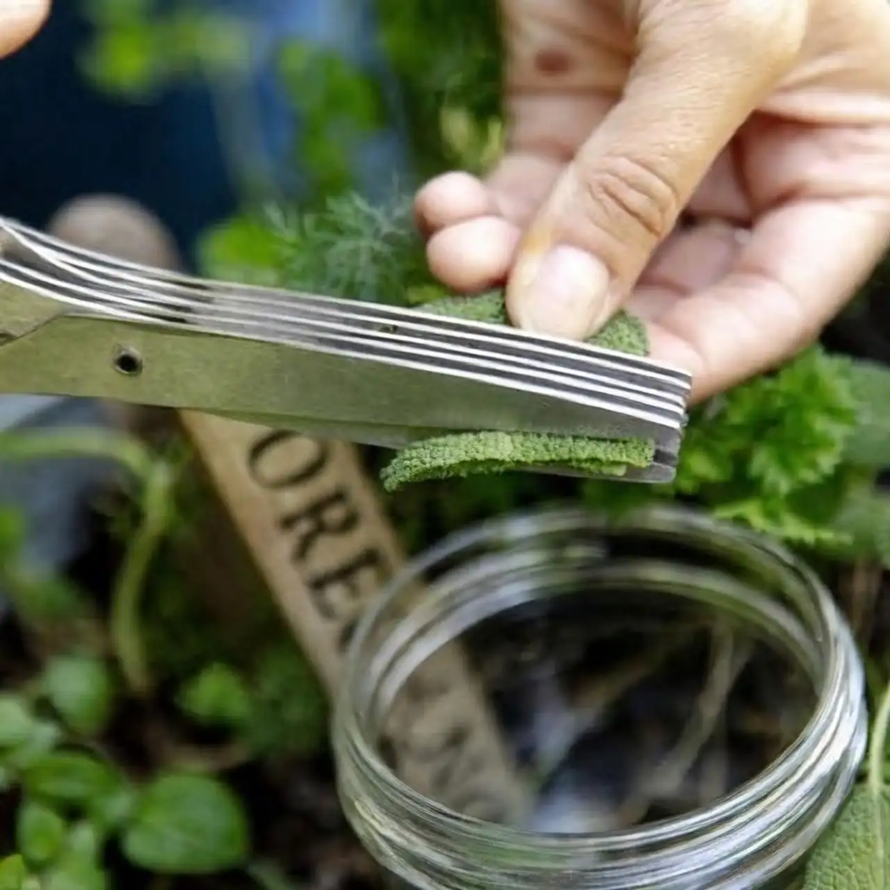 Powering Your Green Space: A Practical Guide to Choosing the Right Gardening Equipment