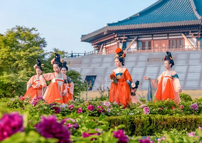 Luoyang peony festival celebration