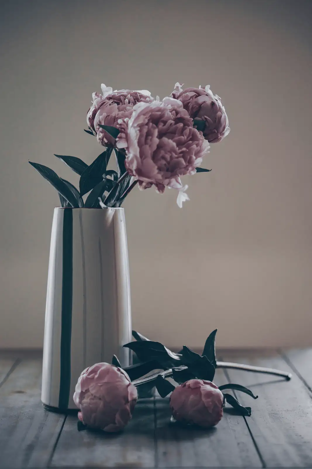 tree peony vase interior decor