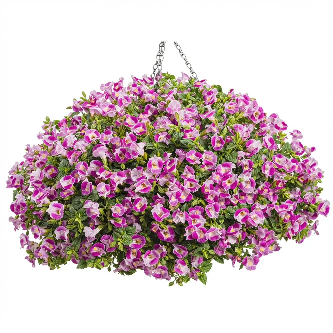 wishbone flower hanging basket