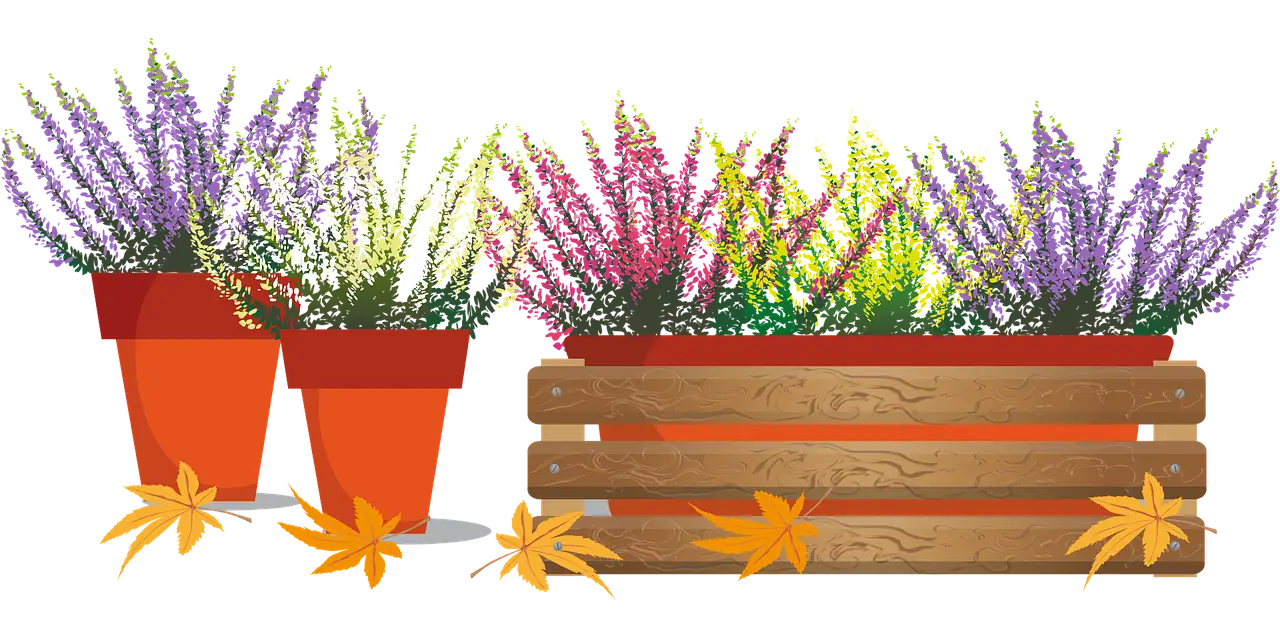 planting holly cuttings in pot