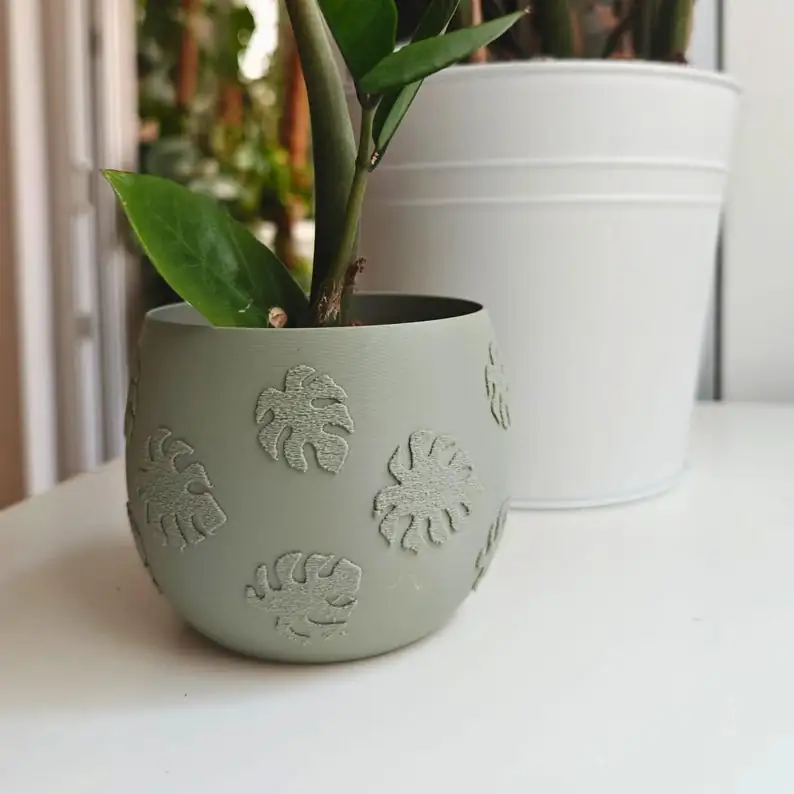 monstera indoor pot