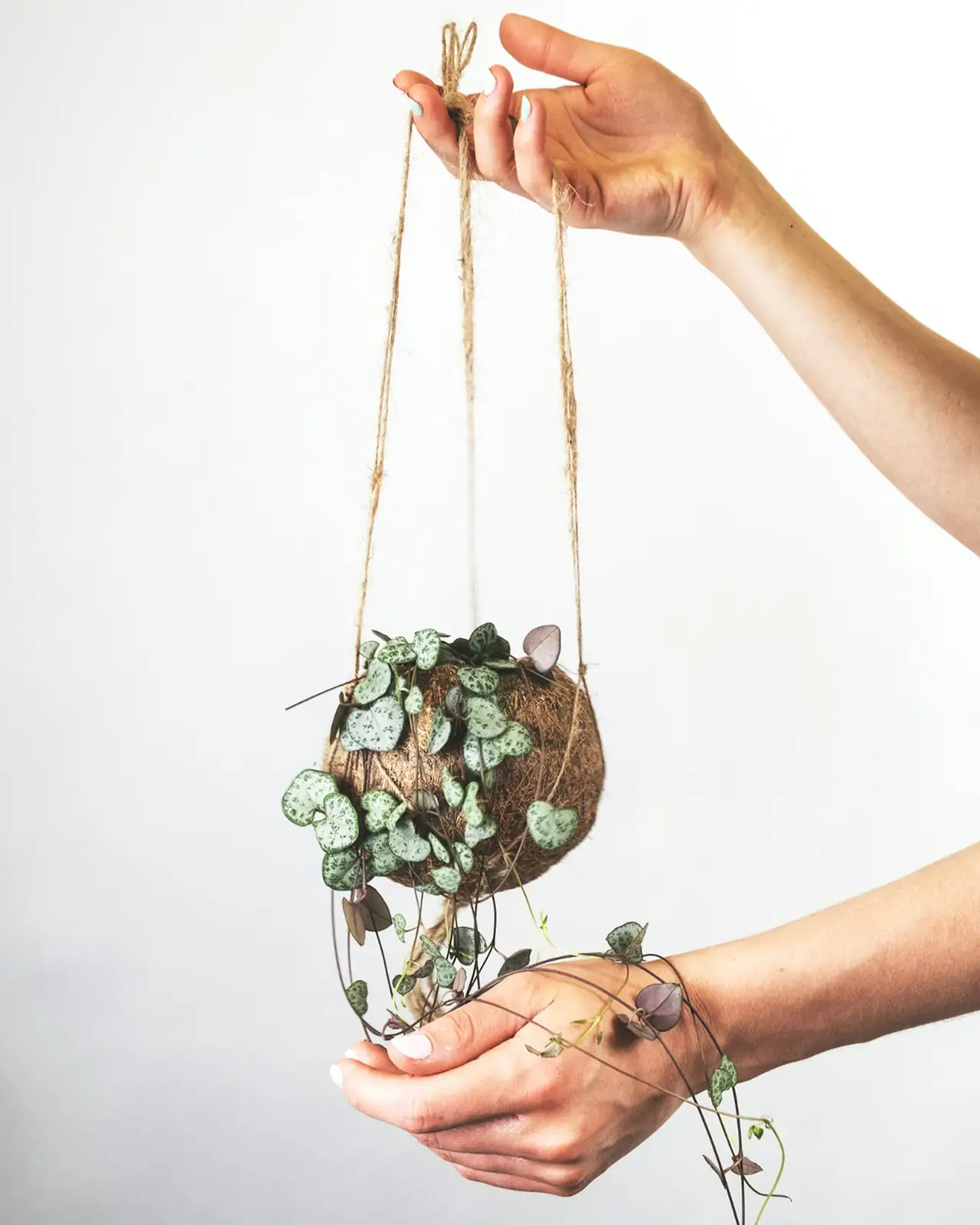 string of hearts hanging basket decor