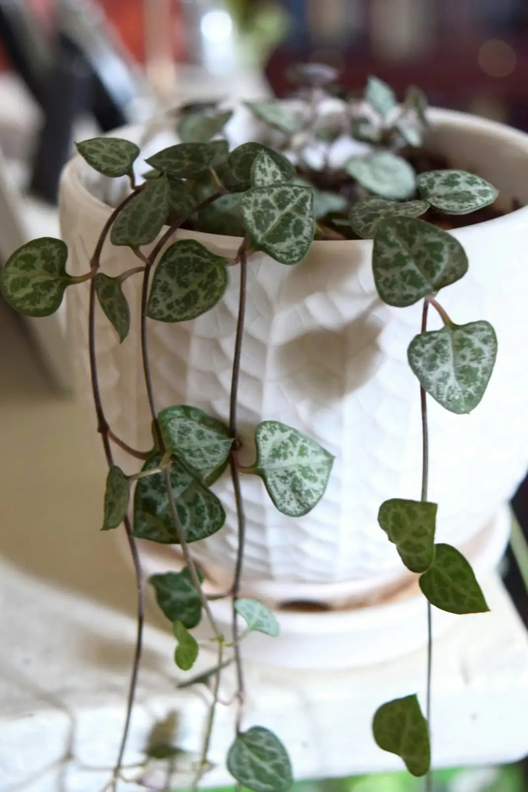 Propagation Made Simple: How to Multiply Your String of Hearts Collection