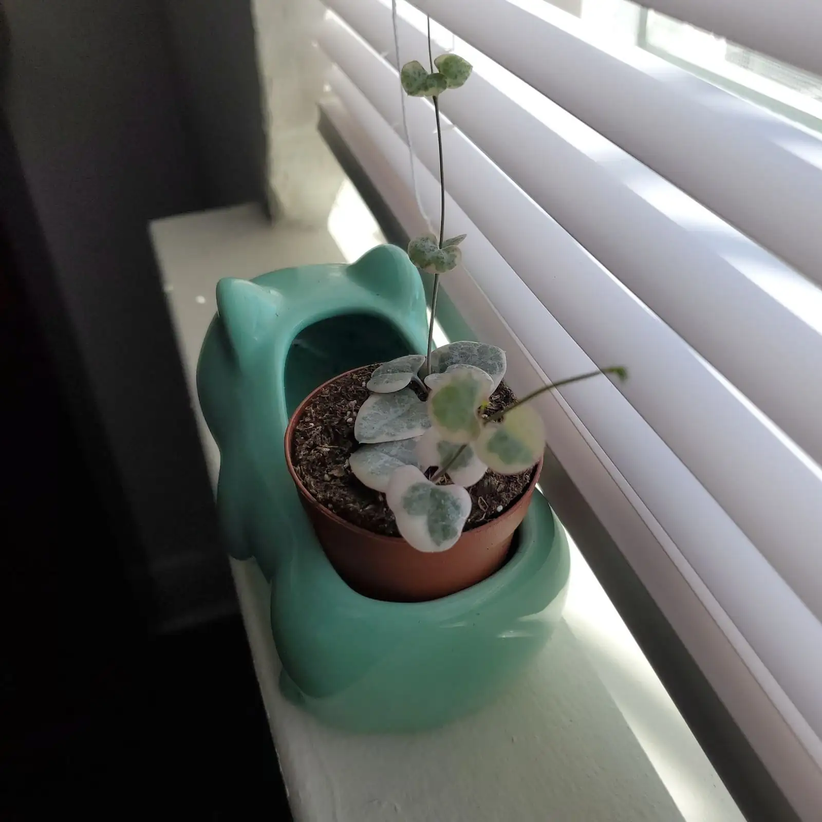 string of hearts sunlight window