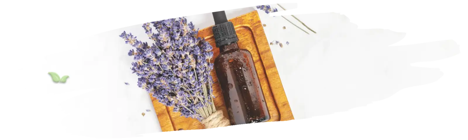 lavender and orchids pest control