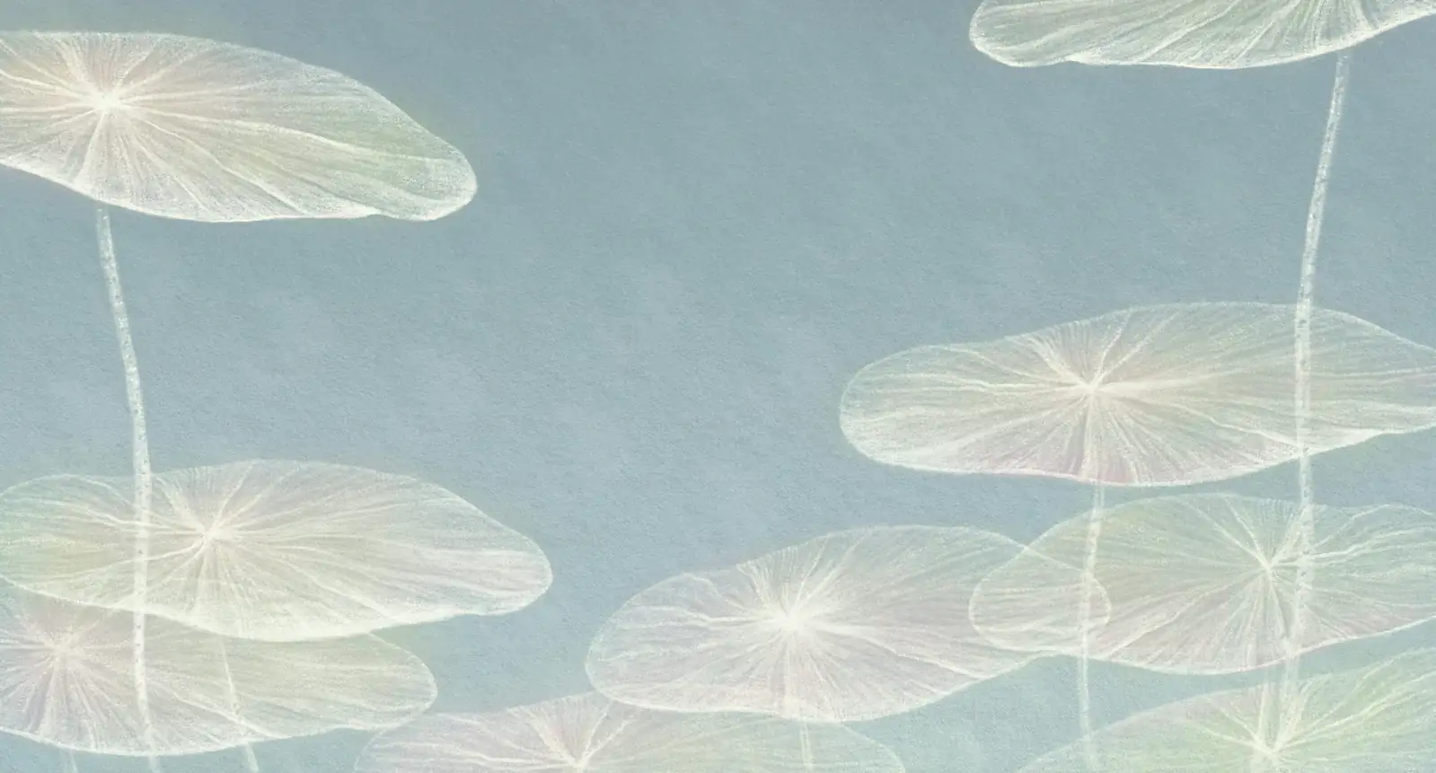 lotus in Chinese art