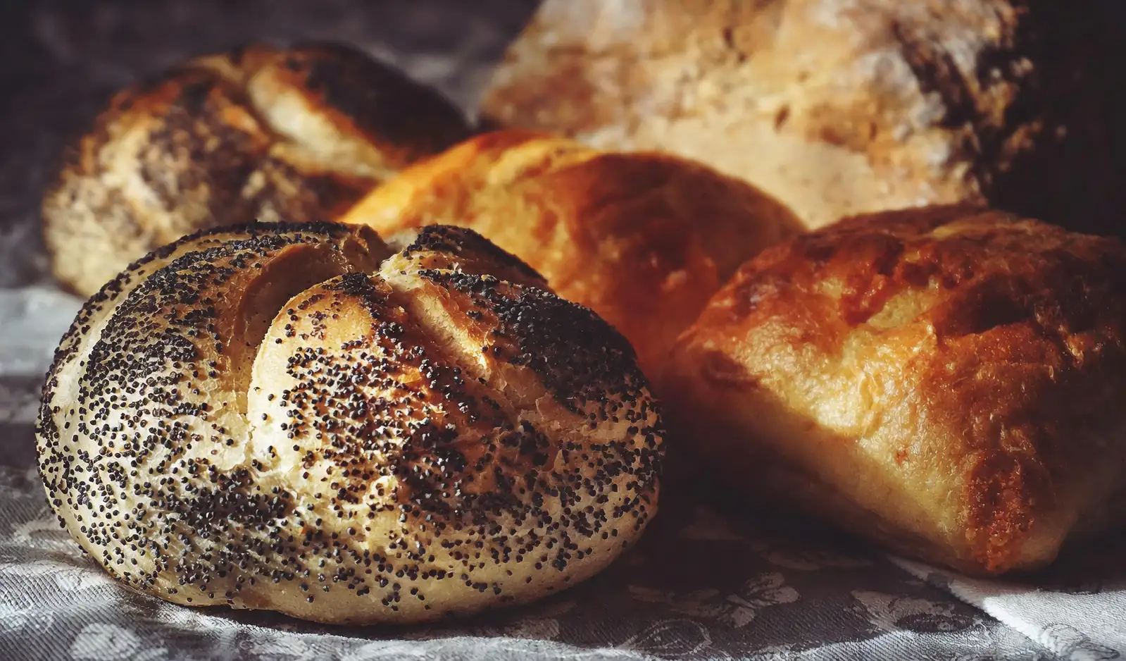 poppy seeds on bread