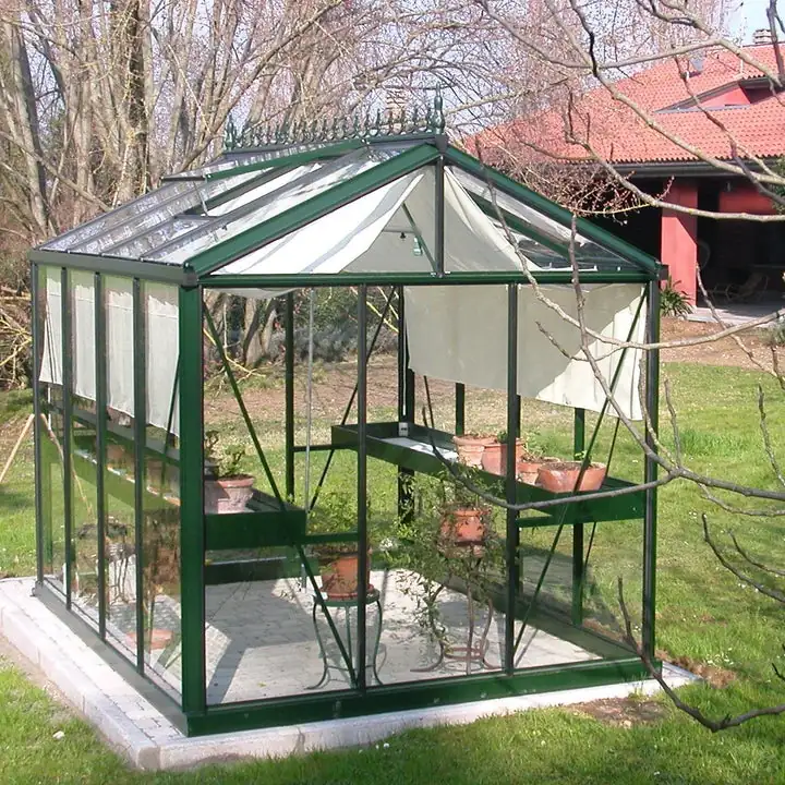 victorian glasshouse hoya carnosa display
